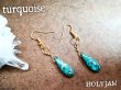 画像1: NativeHoney255　turquoise ターコイズ 御守りピアス (1)