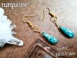 画像2: NativeHoney255　turquoise ターコイズ 御守りピアス (2)